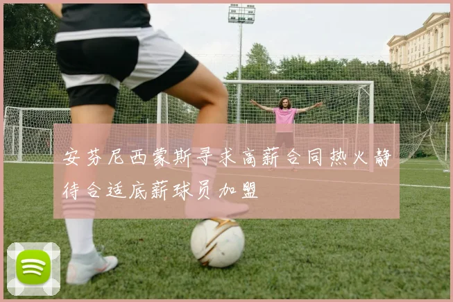 安芬尼西蒙斯寻求高薪合同热火静待合适底薪球员加盟